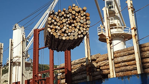 Log loading Napier Port