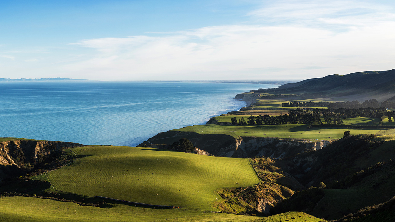 Coastal New Zealand at Waipara