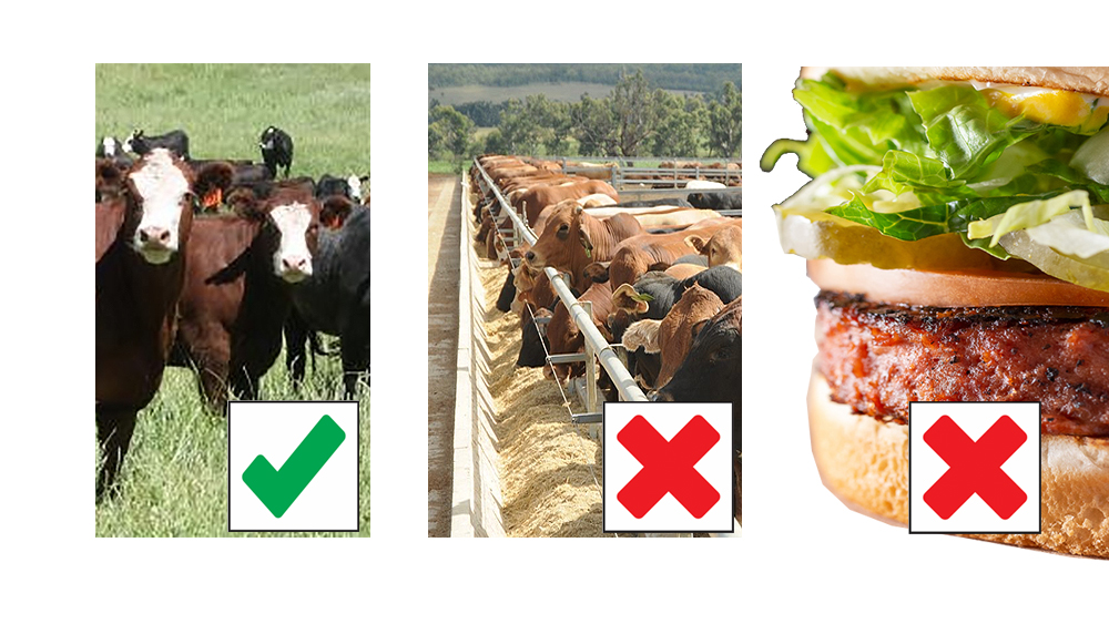 pasture beef, feedlot beef, artificial beef