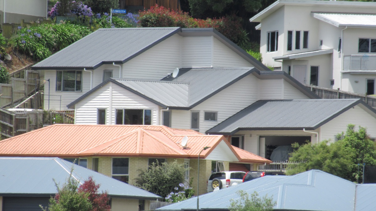 Worried' about the New Zealand housing market | interest.co.nz