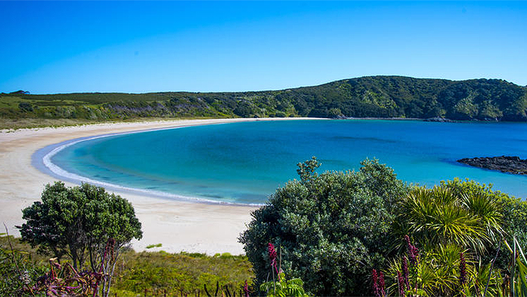 Maitai Bay, Northland