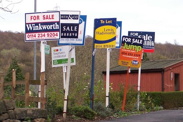 For sale signs beside road