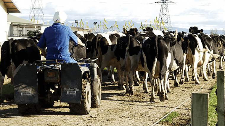 farm worker