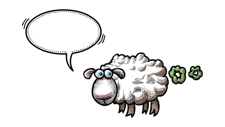 sheep fart