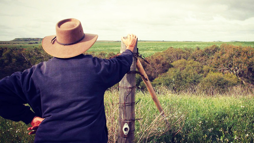 Farmer looking at bush in gully, fields beyond