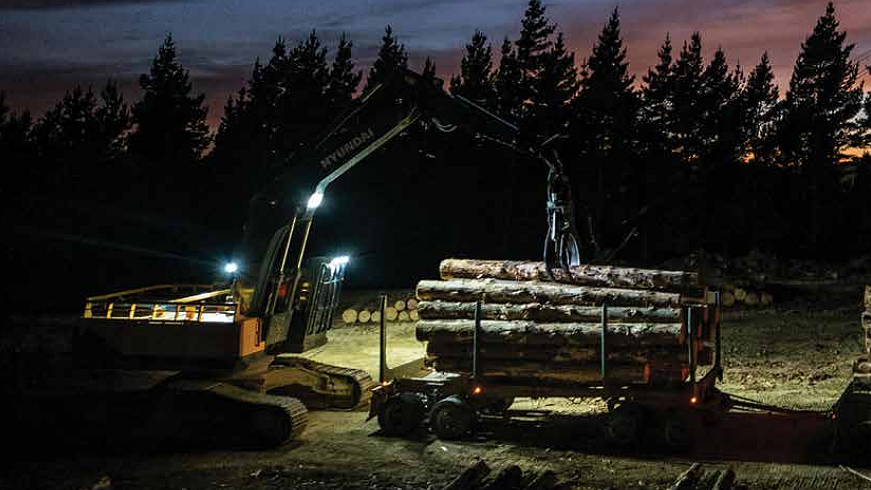 harvesting logs at night