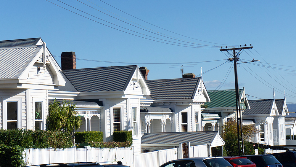 Auckland villas