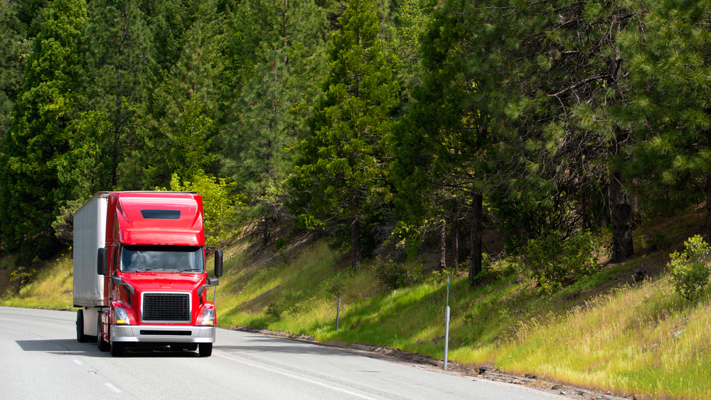 Truck in forest