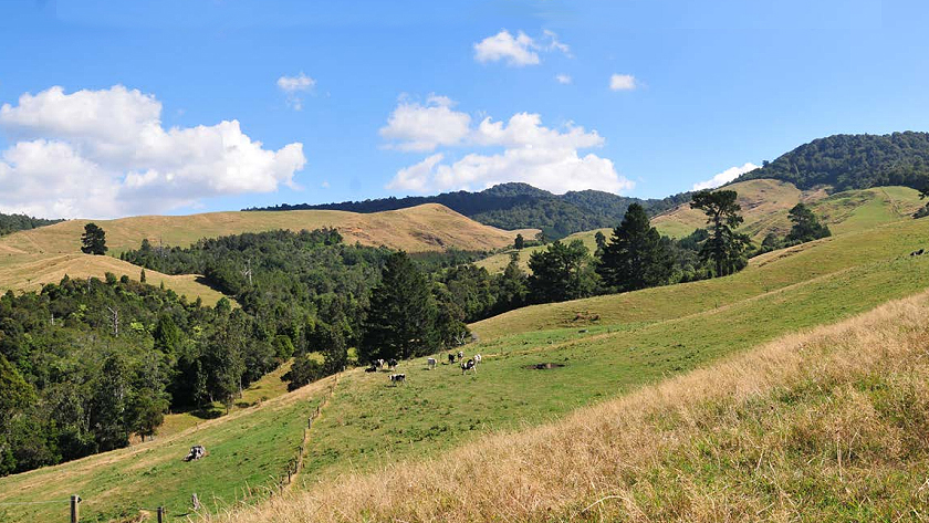 Farm forestry