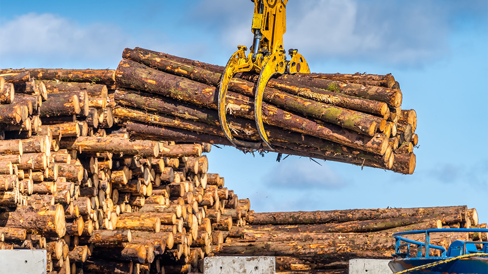 Loading logs to a ship