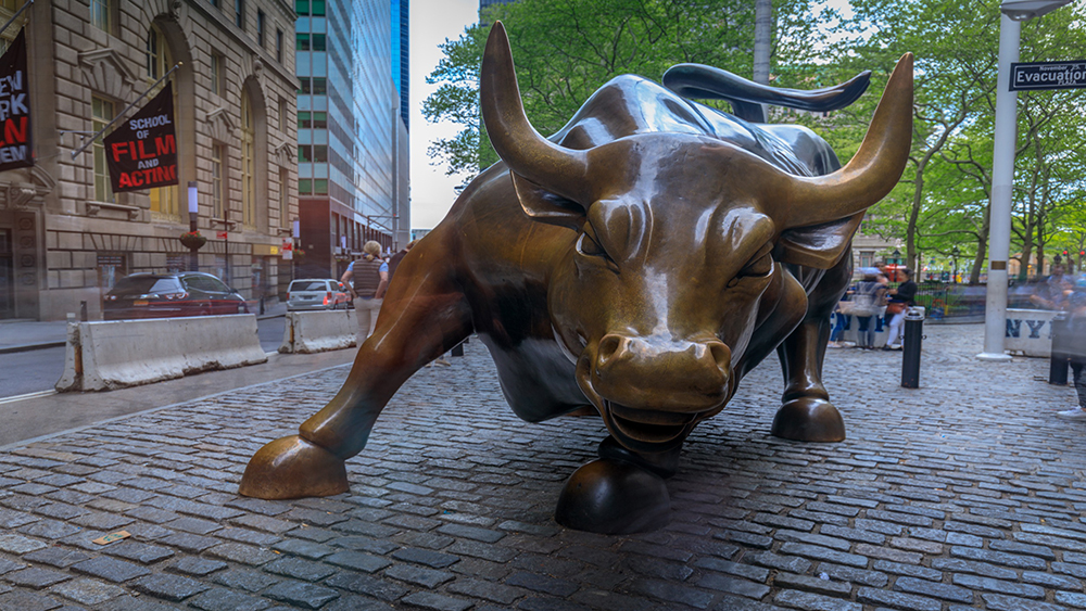 Wall Street bull