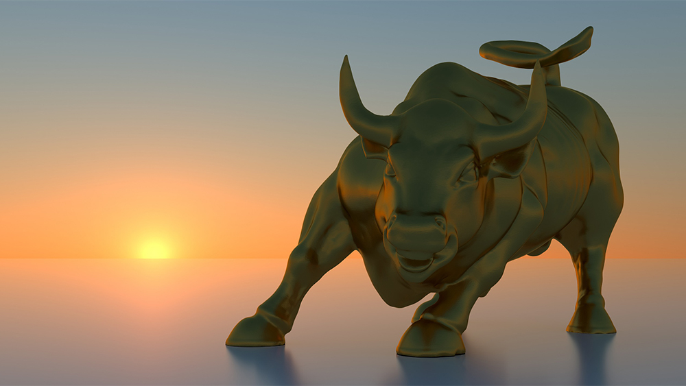 Investment bull