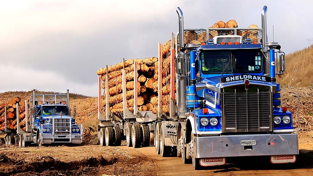 log trucks