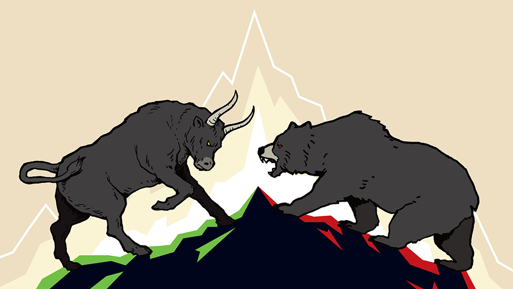 bull vs bear