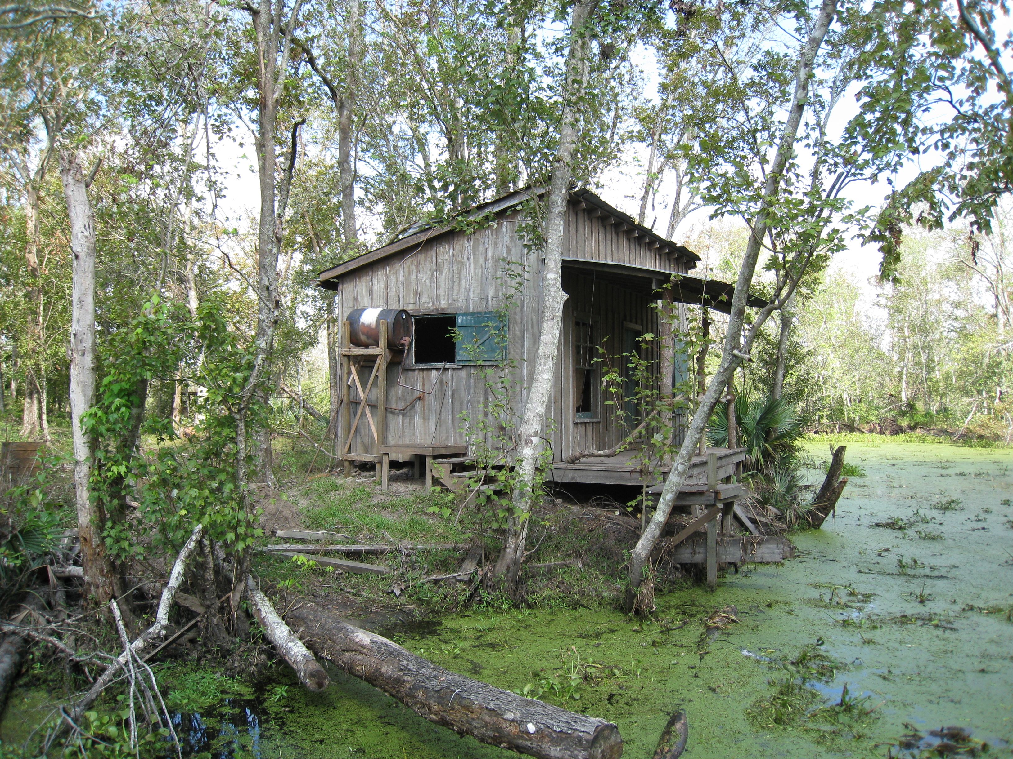 Shack in swamp