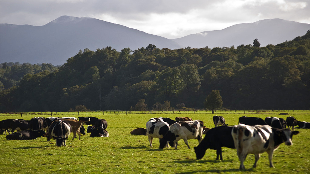 Farm scene