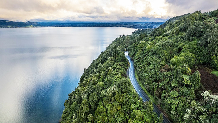 Road through forest by lake