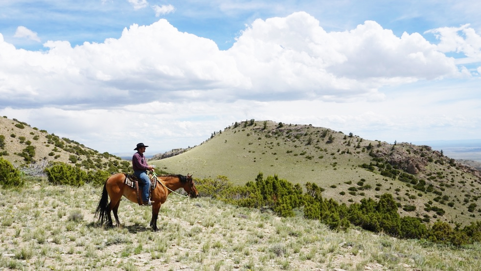 Wyoming rancher on horseback