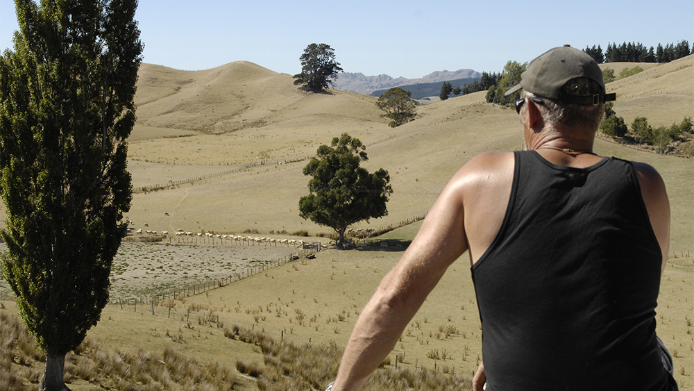 dry farmland