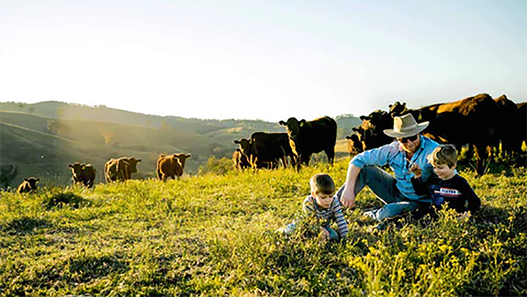 happy beef farmer