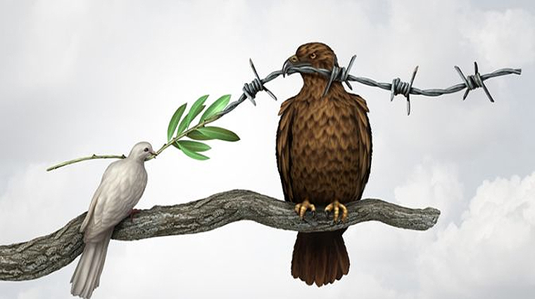 dove and hawk