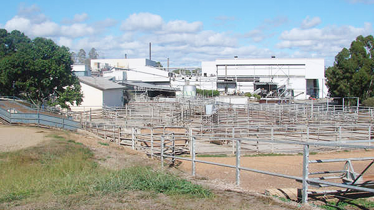 empty yards