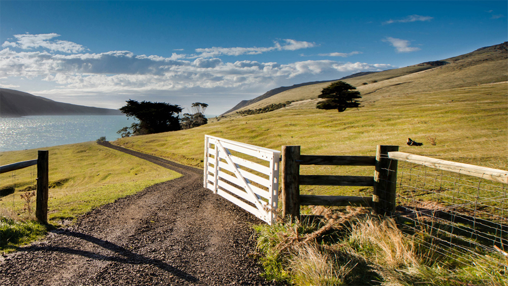 Farm gate