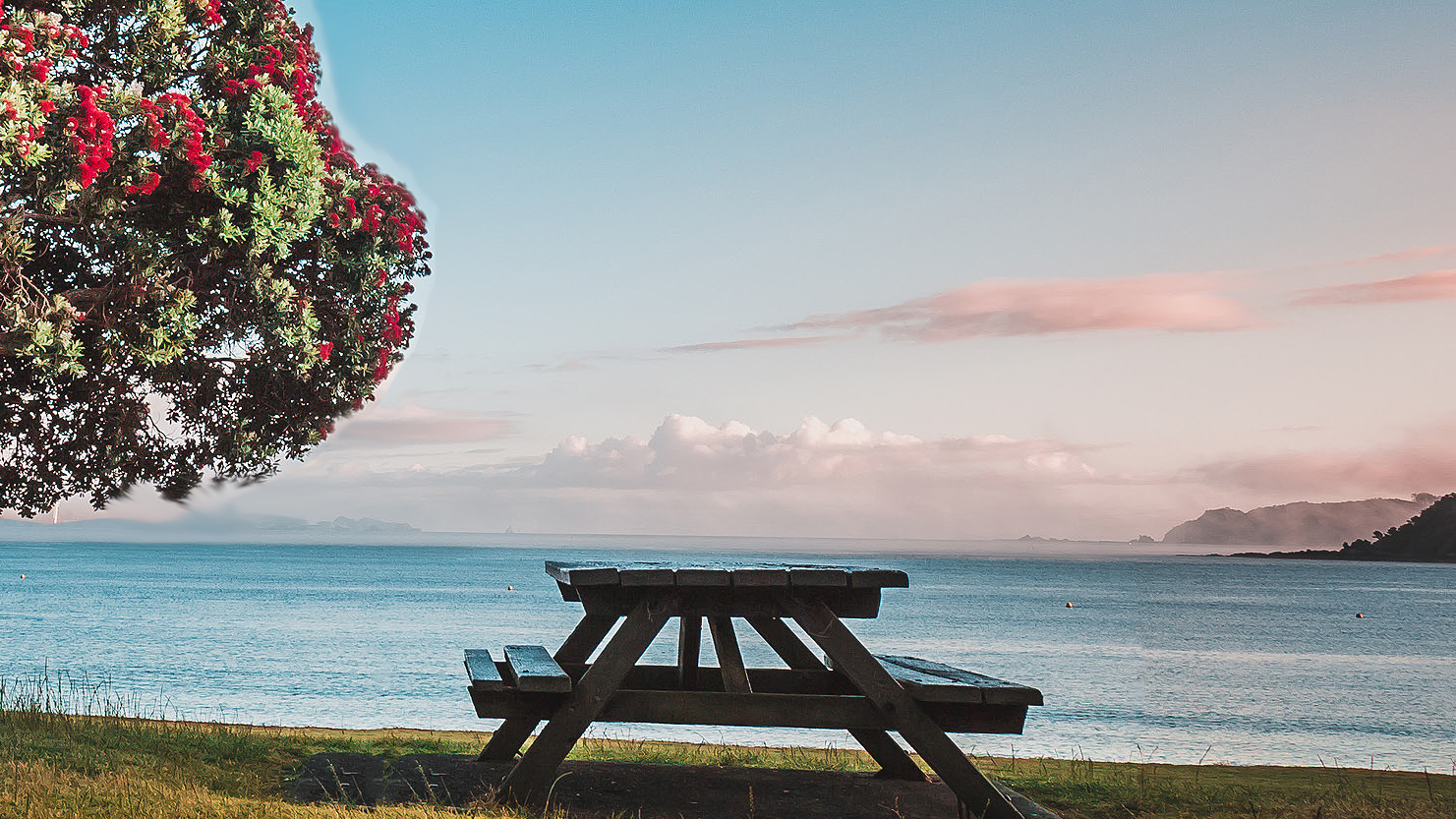 summer bench at beach