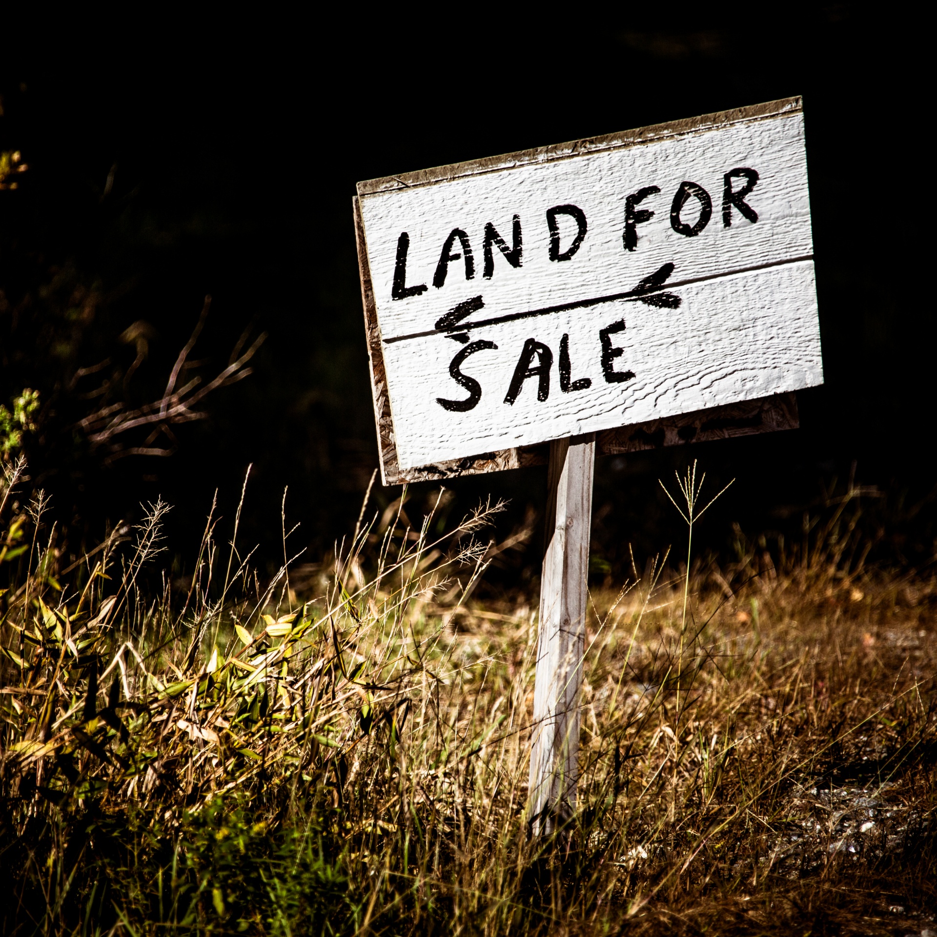 Land for sale sign