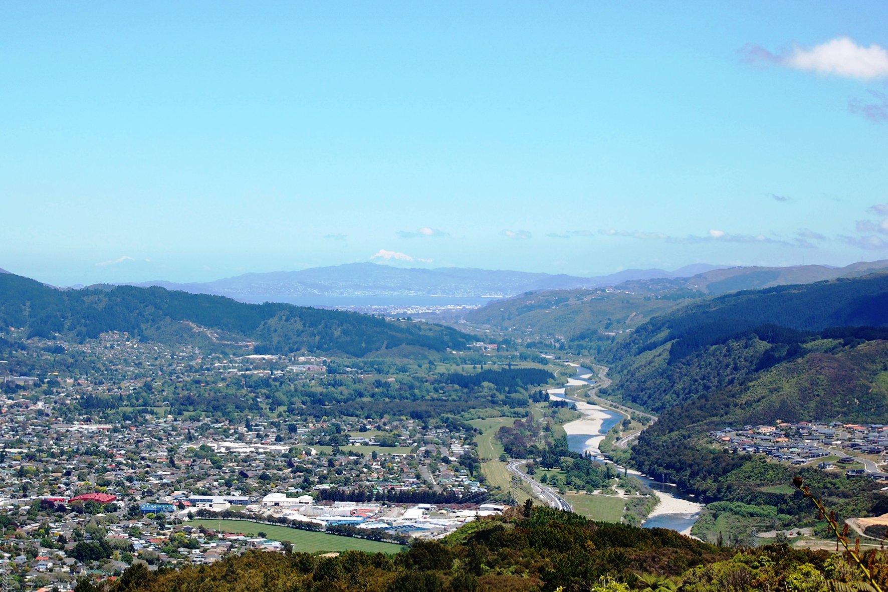 View of house sin the Hutt Valley