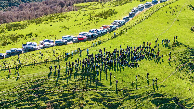 Field days and workshops are key to ensuring improved on-farm productivity brings better profitability