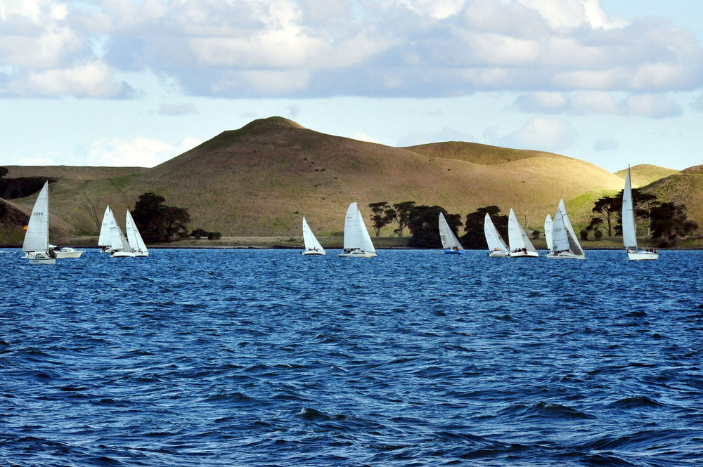 Sailing on the Hauraki Gulf