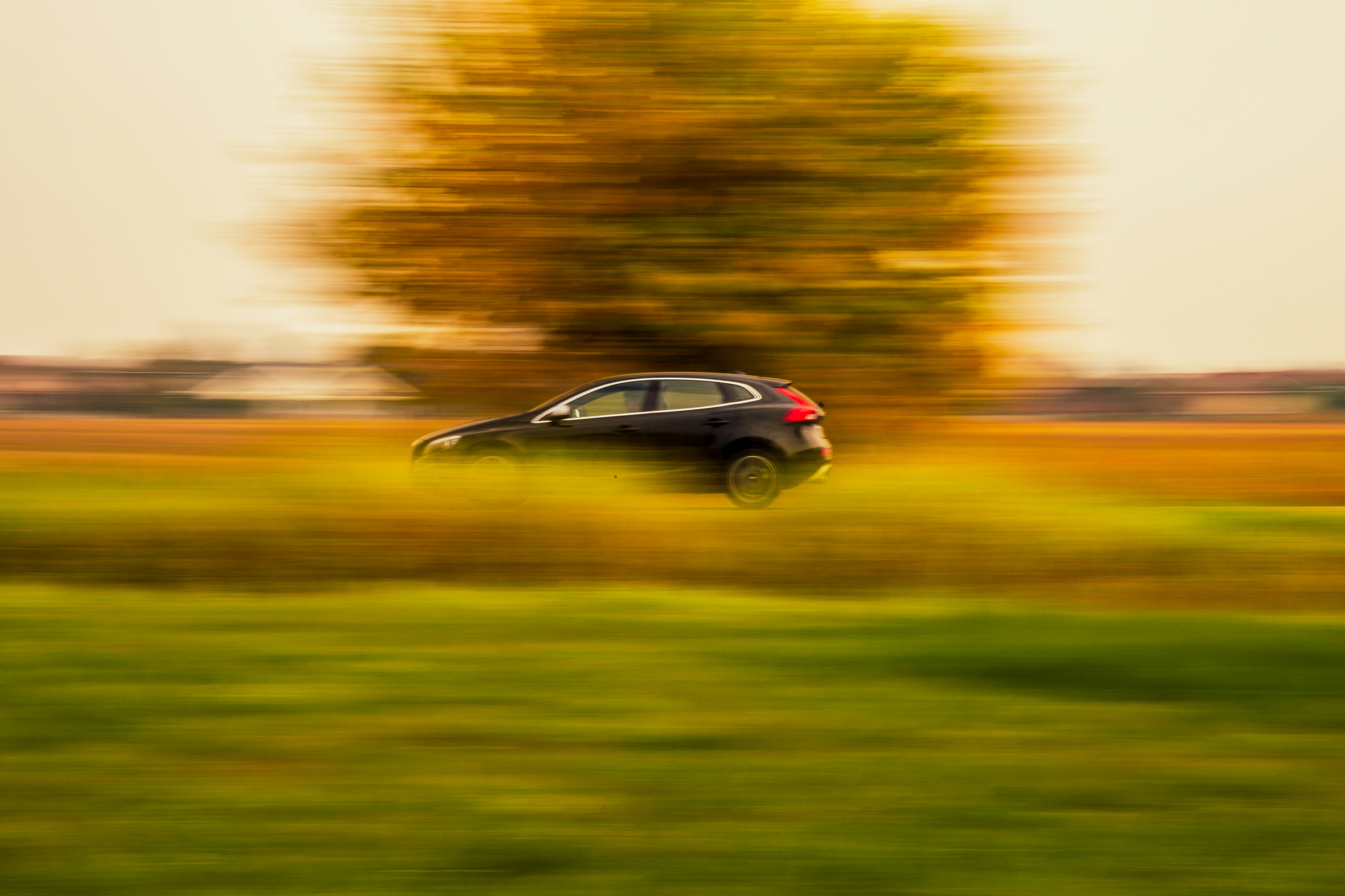 A black car drives swiftly past an orange tree on a quiet country road