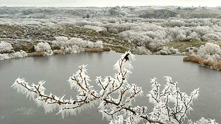 Hoar frost