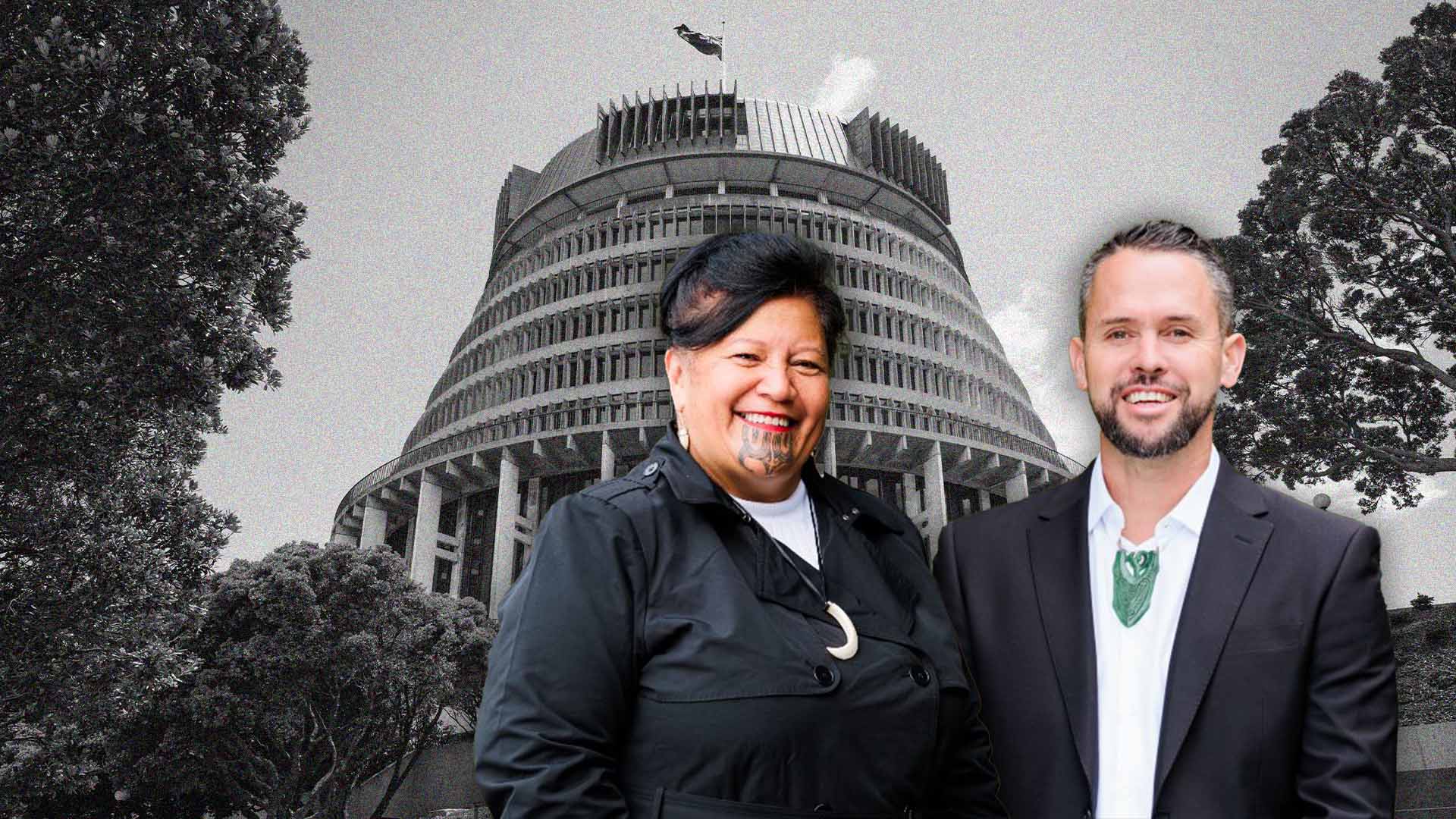 Te Pāti Māori: Party's national council votes to expel two MPs