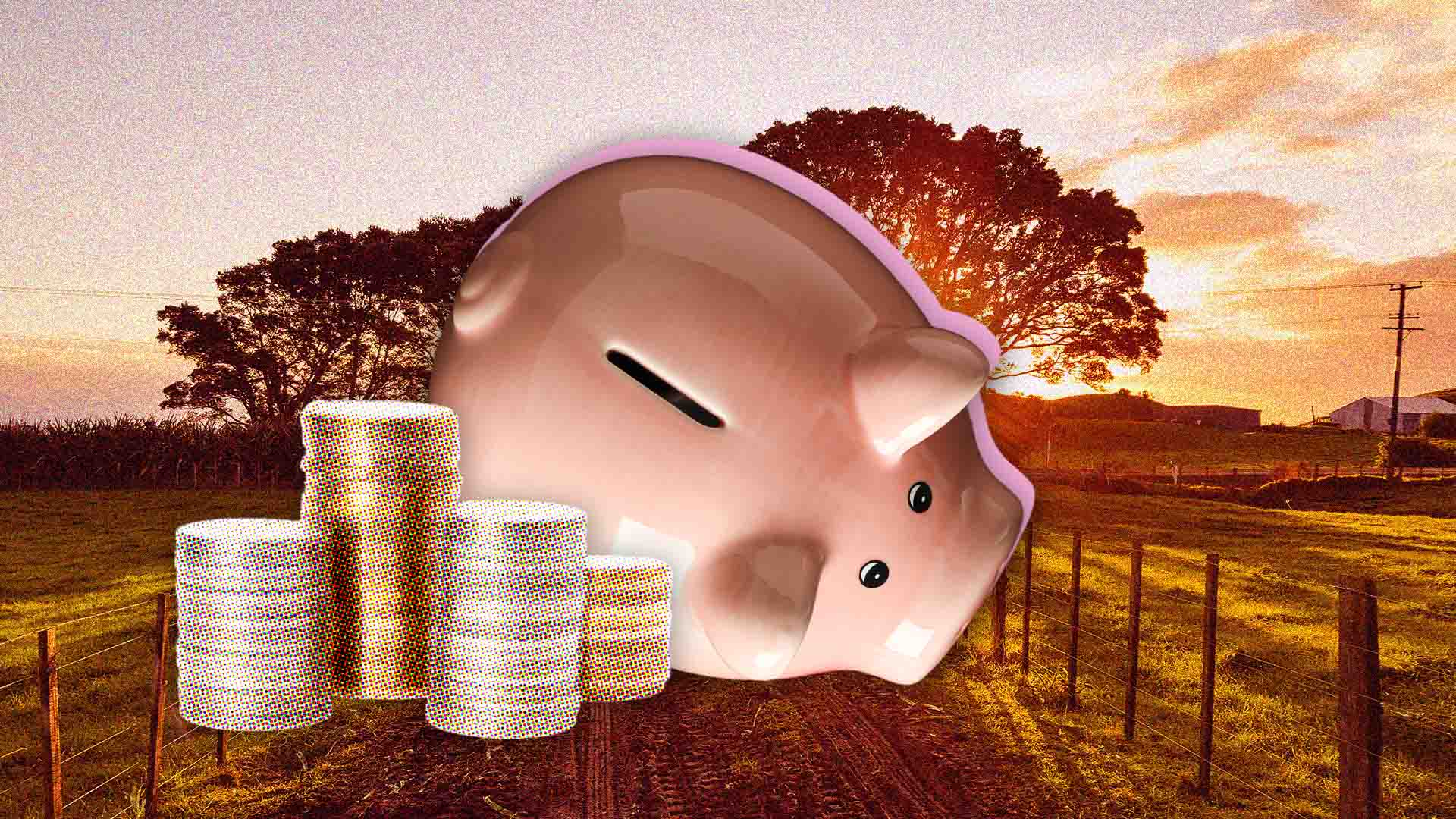 Government to allow KiwiSaver withdrawals for farm purchases, makes tweak for serviced tenants