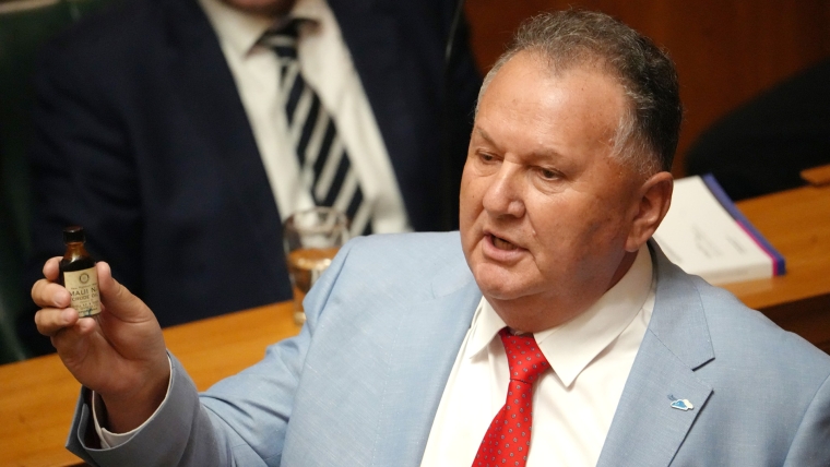 New Zealand First's economics