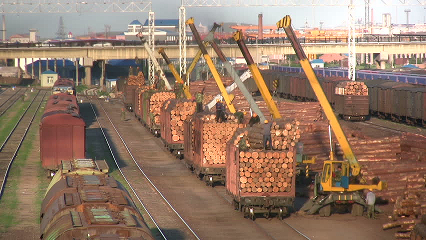 Loading logs in China