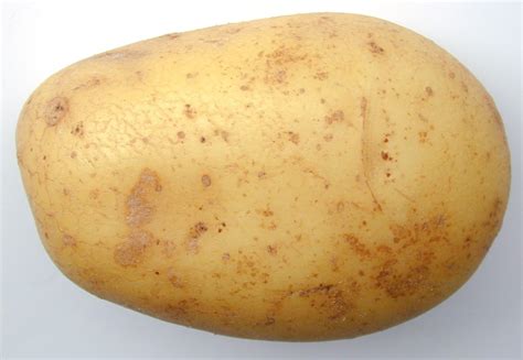 Profile picture for user potato