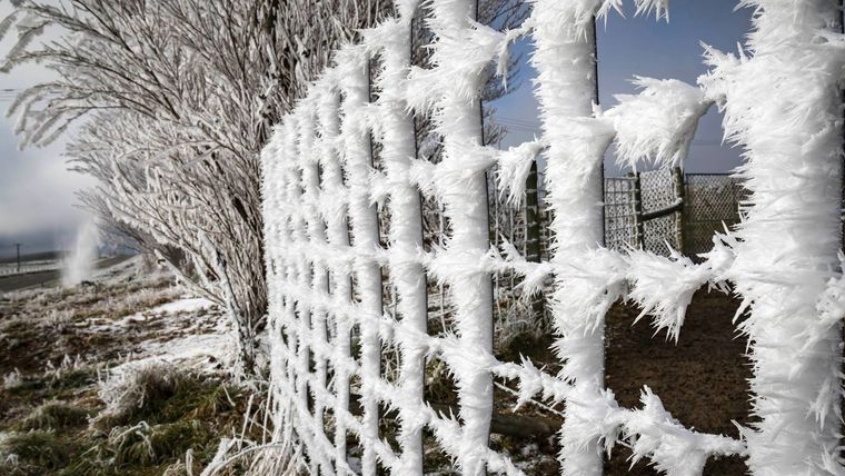Central Otago hoar frost. Image by Todd Weeks