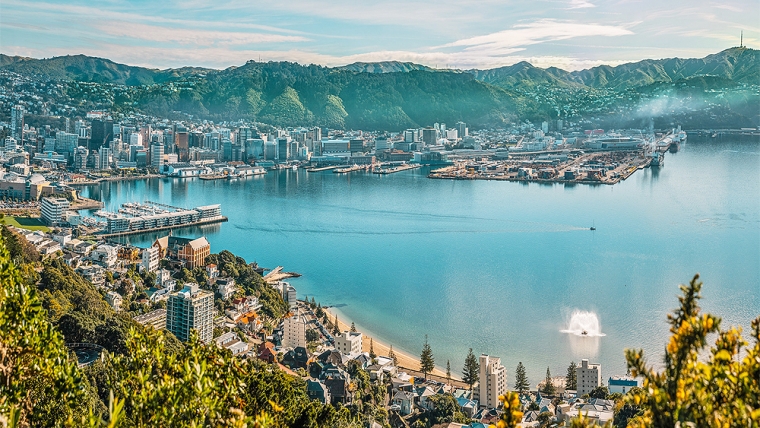 Wellington on a good day