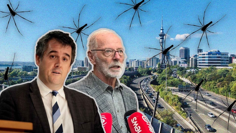 A composite image of Housing Minister Chris Bishop and Auckland Mayor Wayne Brown, and spiders overlayed on an image of Auckland city centre.