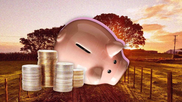 A composite image of Taranaki overlayed with a piggy bank and a stack of coins.