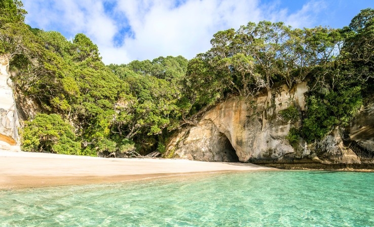Cathedral Cove