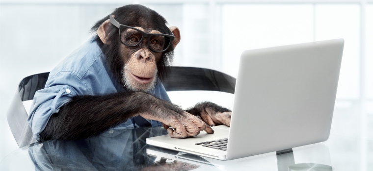 chimp at keyboard