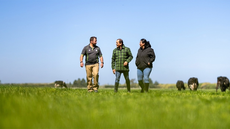 farmers talk strategy