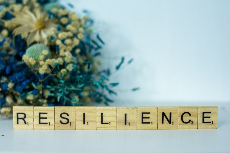 resilience