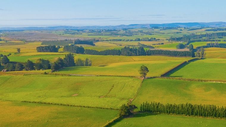 rolling rural country
