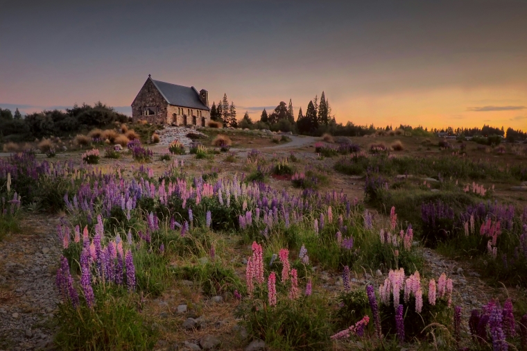 Tekapo