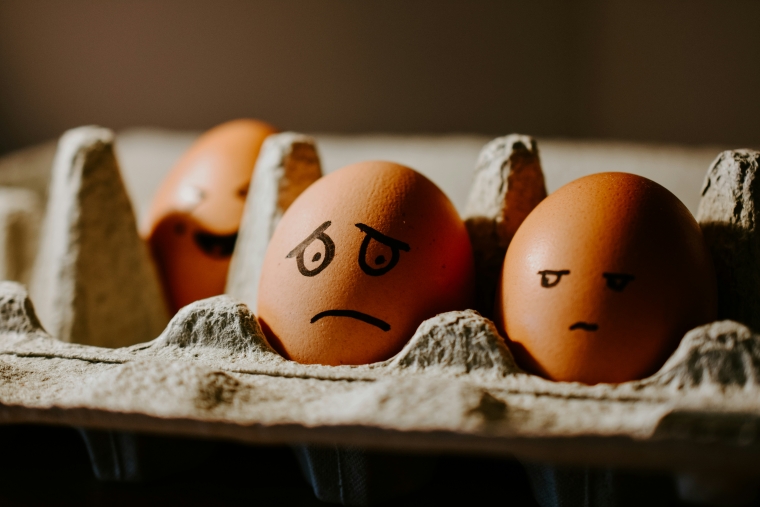grumpy eggs